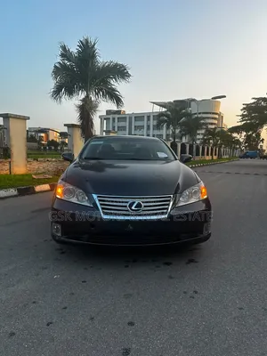 Lexus ES 350 2010 Gray
