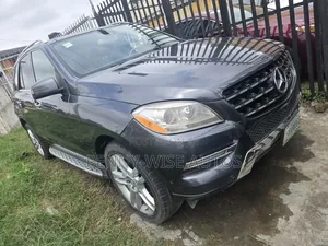 Mercedes-Benz M Class 2015 Gray