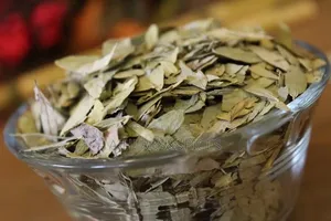 Senna Leafs