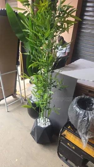 Flower Vases