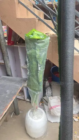 Flower Vases
