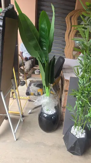 Flower Vases