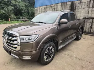 Great Wall Pao 2.0 Petrol AWD 2022 Gray