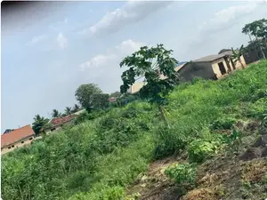 Prime Land for Sale Near Crawford University, Igbesa! 