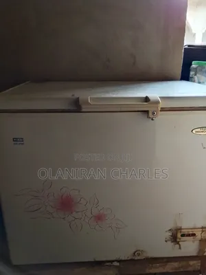 Haier Thermocool Chest Freezer 319L (HTF-319H)