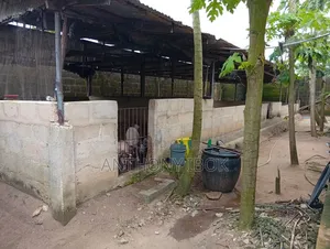 Poultry Farm