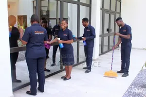 Professional Residential Deep Cleaning