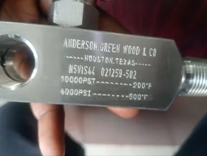 1/2x10000psi Single Block and Bleed Valve NPT Stainless