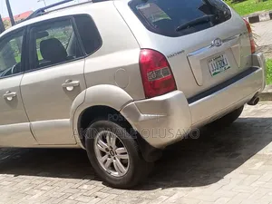 Hyundai Tucson 2010 Gray