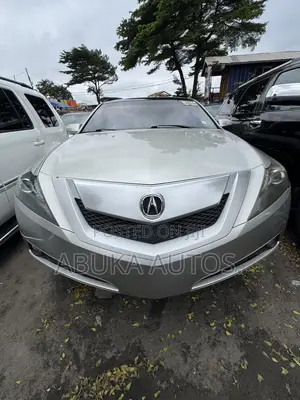 Acura ZDX Base AWD 2011 Silver