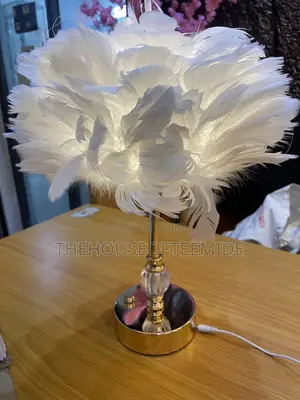 Feathers Lamp