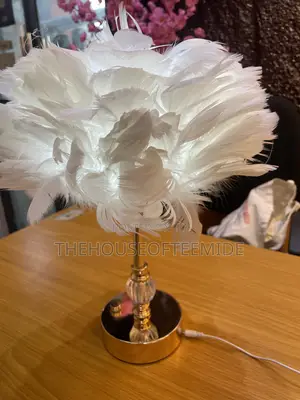 Feathers Lamp