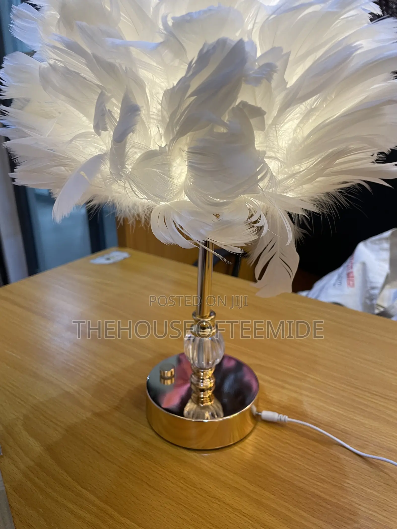 Feathers Lamp