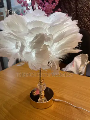 Feathers Lamp