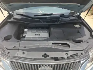 Lexus RX 2010 Blue