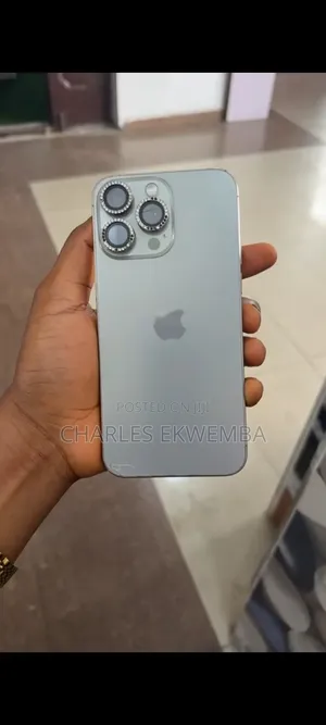 Apple iPhone 15 Pro Max 256 GB Silver