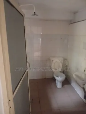 Mini Flat in Ogudu Orioke Lagos for rent