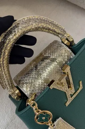 LV Cappucine Bag