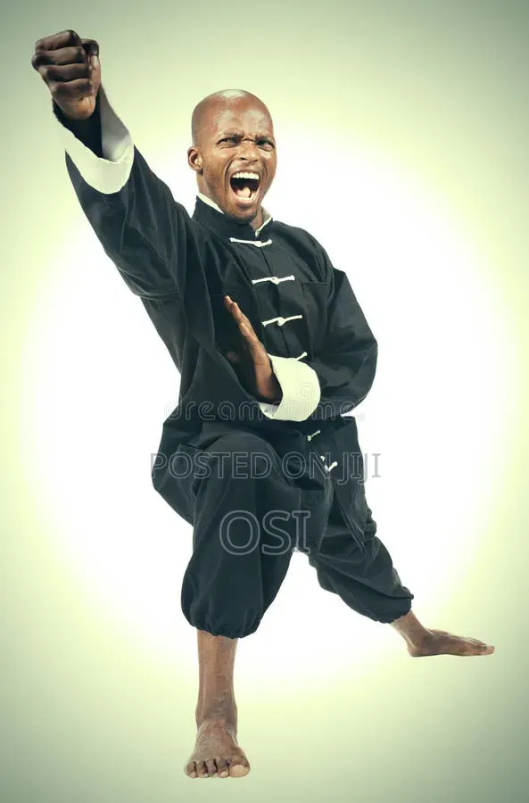 Karate Lessons
