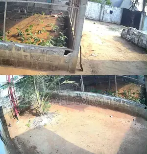 Poultry for Rent