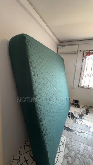 Bed Frame and Mattress