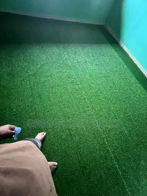 Artificial Grass 25mm