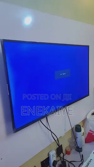 Television