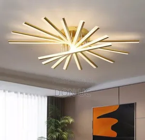 Ceiling Feetings Light Available in Black and Gold Body