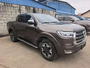 Great Wall Pao 2.0 Petrol AWD 2020 Gray