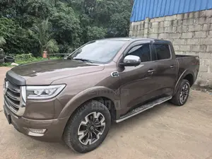 Great Wall Pao 2.0 Petrol AWD 2020 Gray