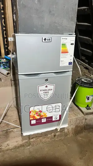 Original LG Double Door Fridge