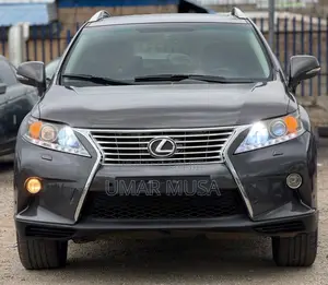 Lexus RX 350 2010 Gray