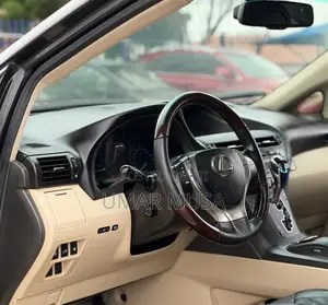 Lexus RX 350 2010 Gray