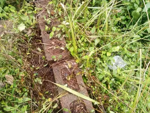 A Plot of Land for Sale