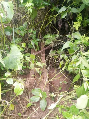 A Plot of Land for Sale