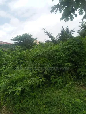 A Plot of Land for Sale