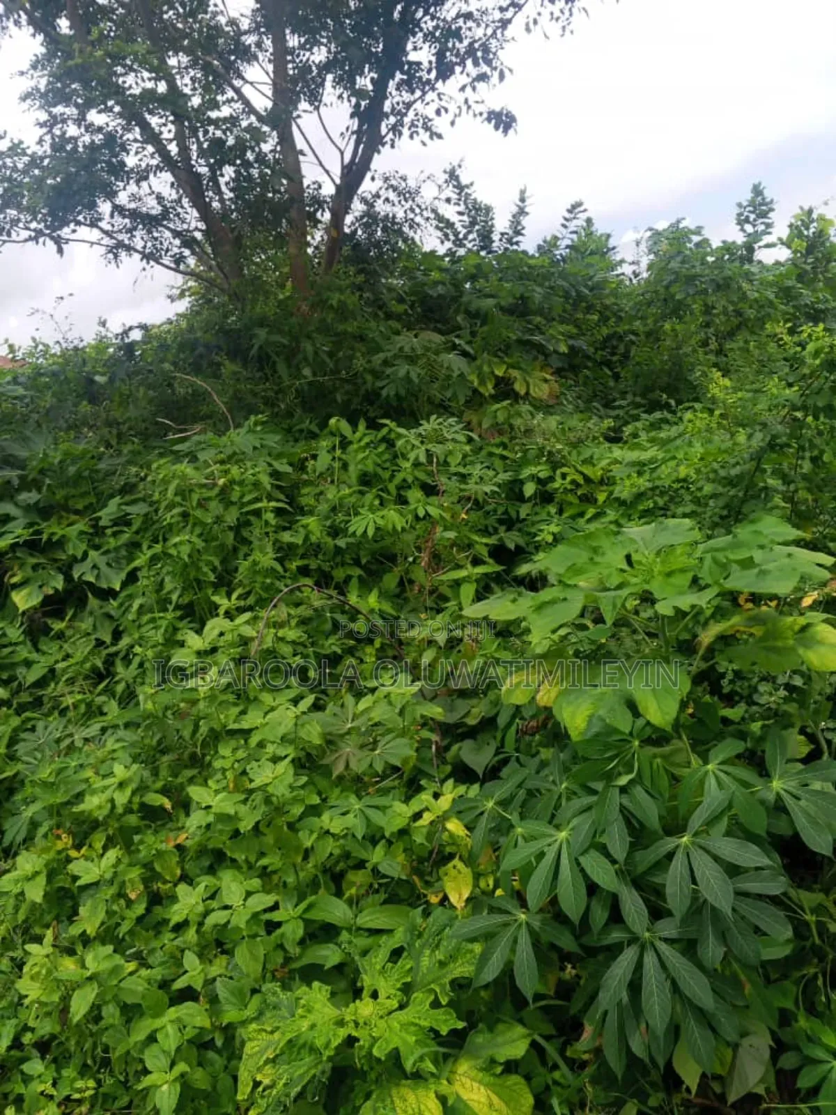 A Plot of Land for Sale