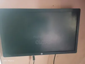 HP Computer Monitor