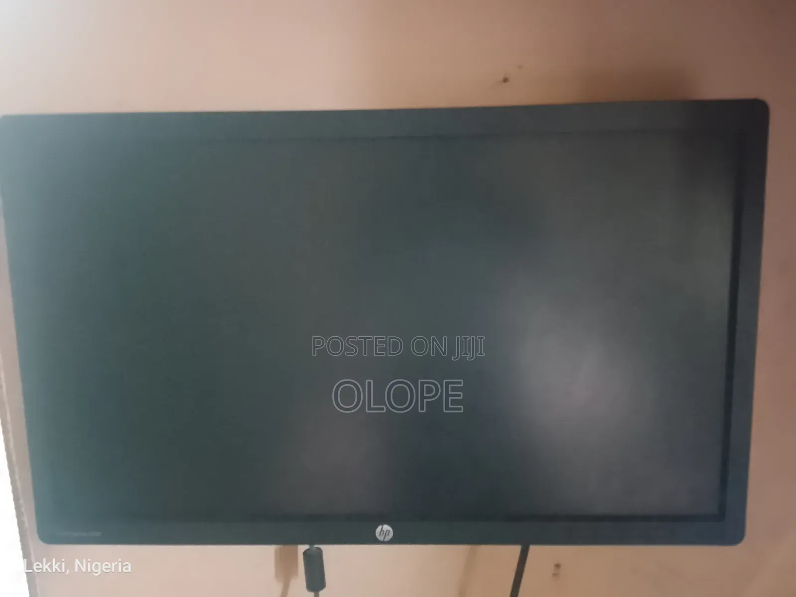 HP Computer Monitor