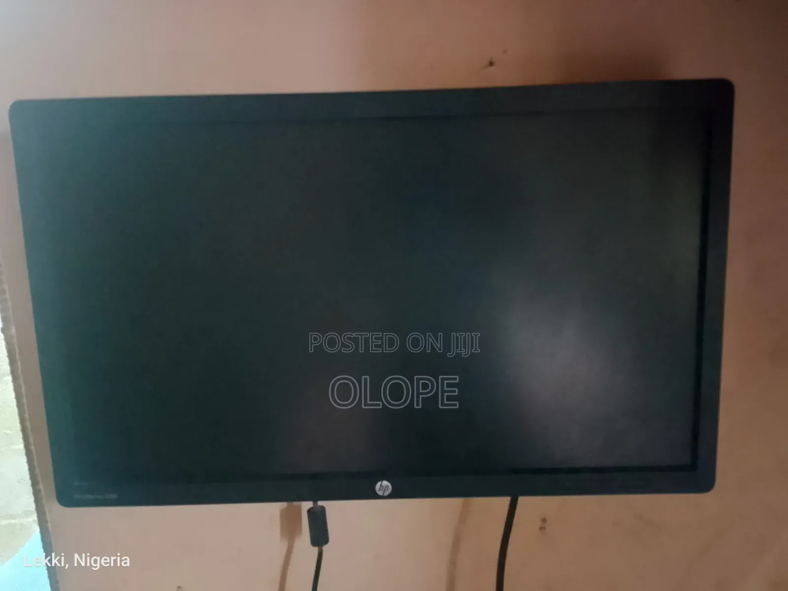 HP Computer Monitor