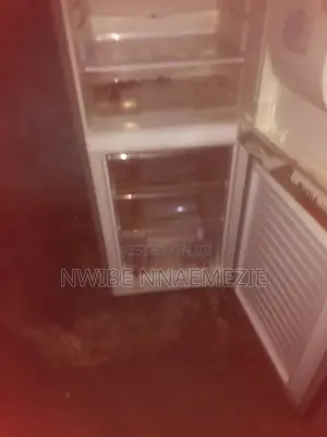 Nexus Fridge