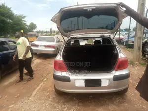 Peugeot 307 2007 Silver