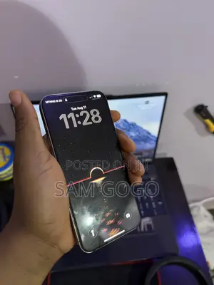 Apple iPhone 15 Pro Max 256 GB Gray