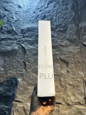 Apple iPad Pro 512 GB Gray