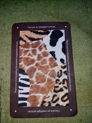 Absorbent Door Mats