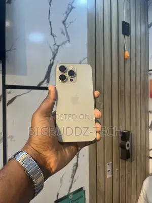 Apple iPhone 15 Pro Max 256 GB Silver