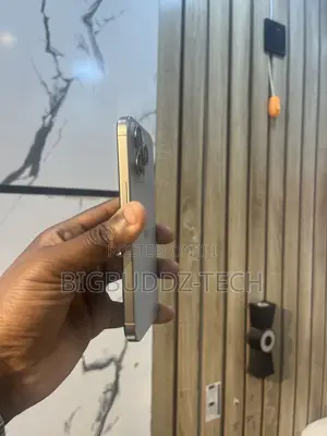 Apple iPhone 15 Pro 256 GB Silver