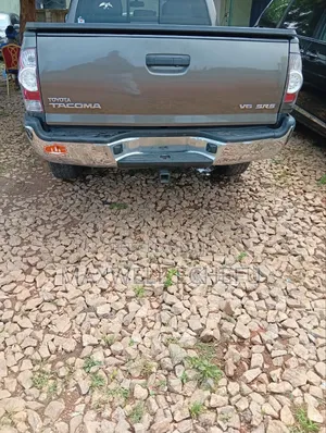 Toyota Tacoma 2010 Gray
