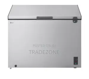 LG 243 Liters Fast Freezing Chest Freezer | FRZ255BQCF