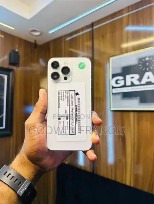Apple iPhone 14 Pro Max 256 GB Silver